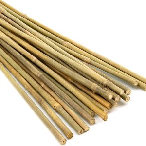 Bamboo Sticks for Plants Support 3 feet (20 Sticks)