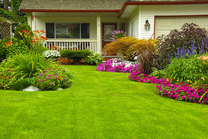 greens-grass-flowers-house-wallpaper-preview